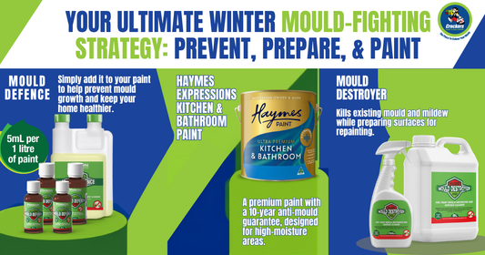Why You Should Never Simply Paint Over Mould | How to Help Keep Mould From Coming Back