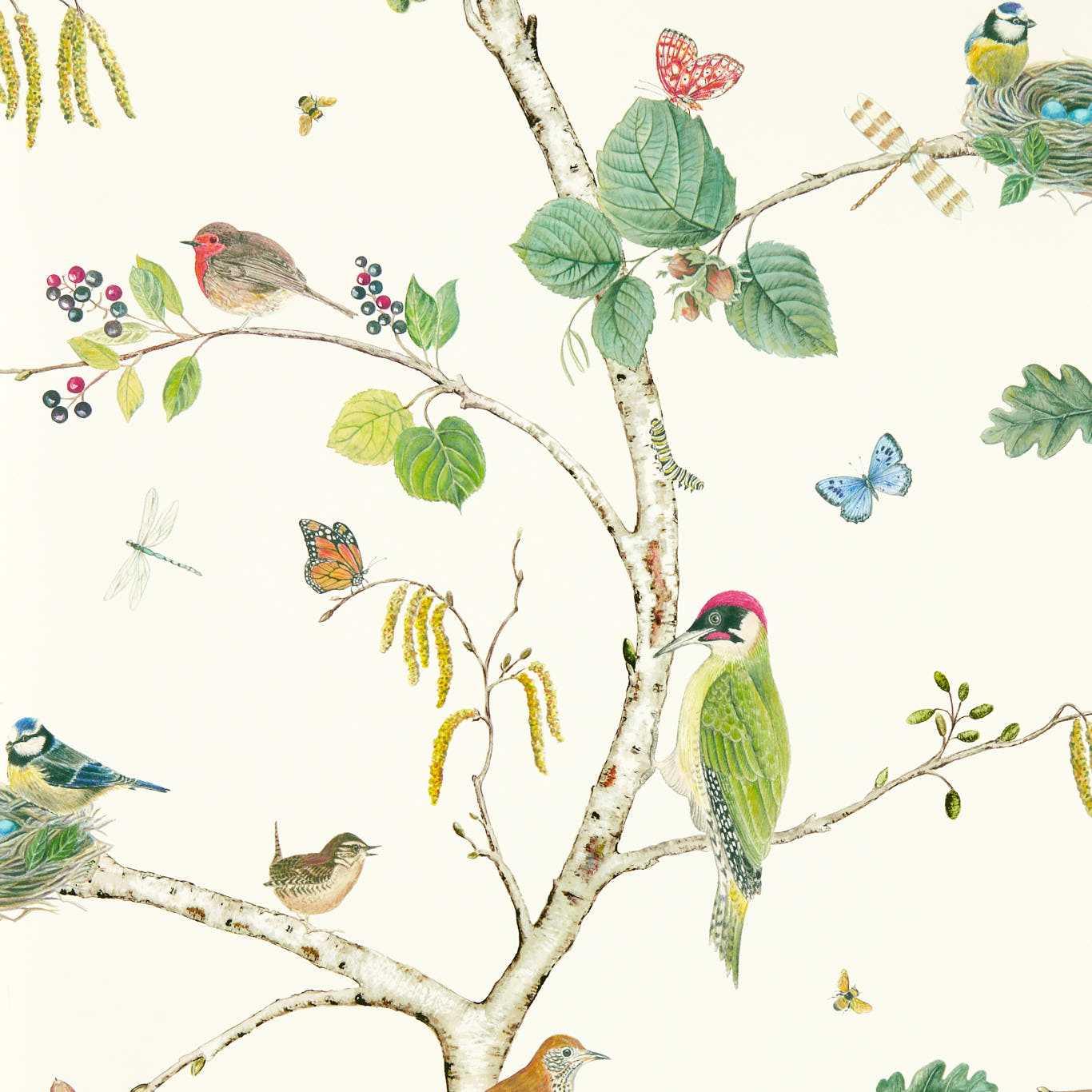 Aboretum Wallpaper Woodland Chorus - Crockers Paint & Wallpaper