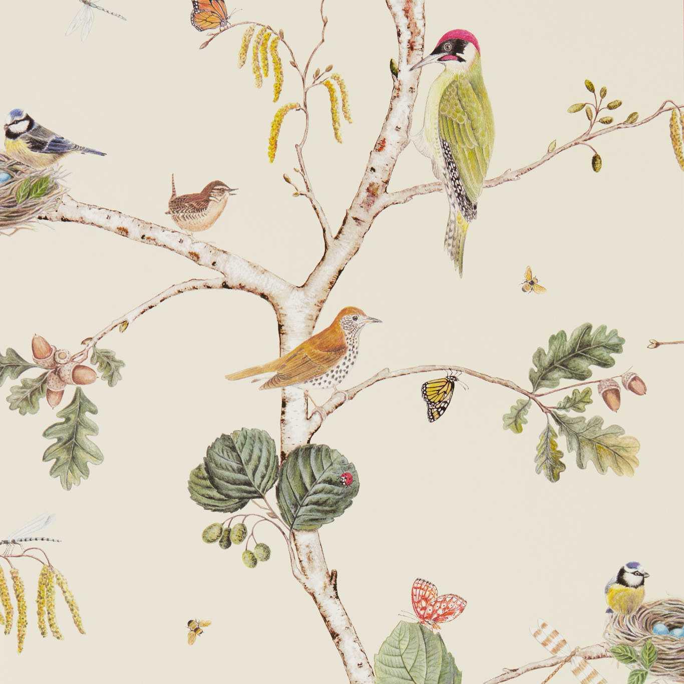 Aboretum Wallpaper Woodland Chorus - Crockers Paint & Wallpaper