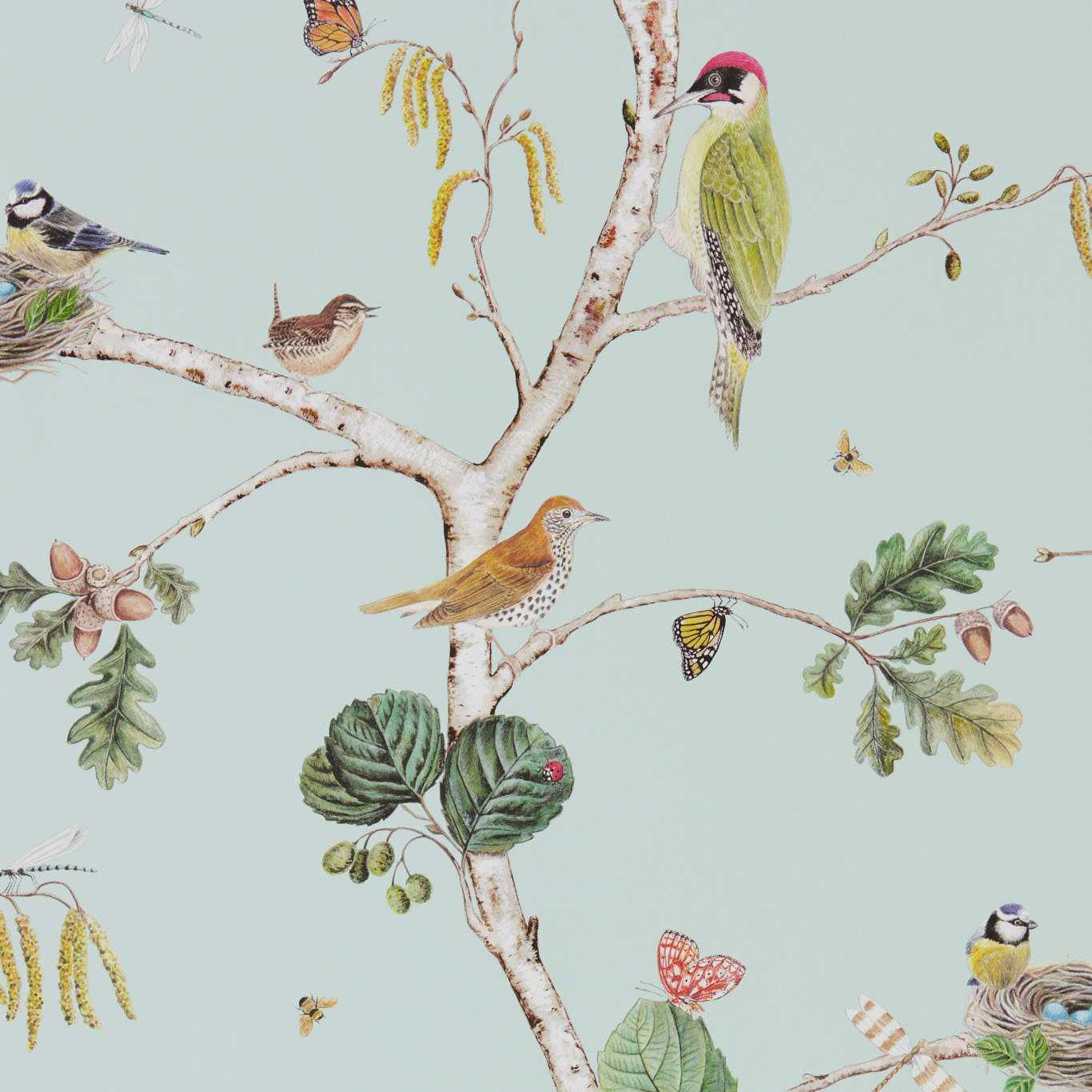 Aboretum Wallpaper Woodland Chorus - Crockers Paint & Wallpaper