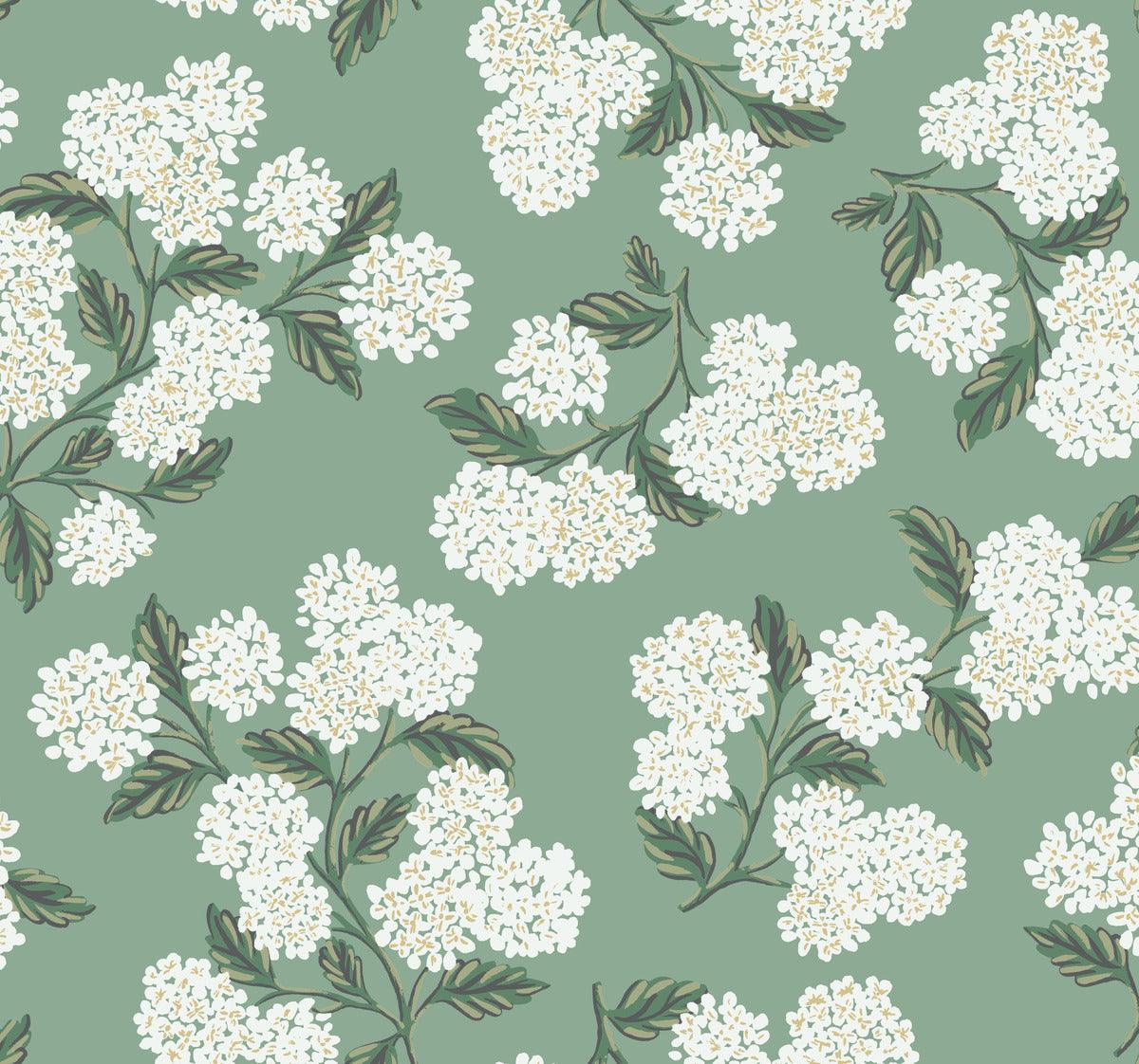 Rifle Paper Co. Hydrangea Wallpaper - Crockers Paint & Wallpaper