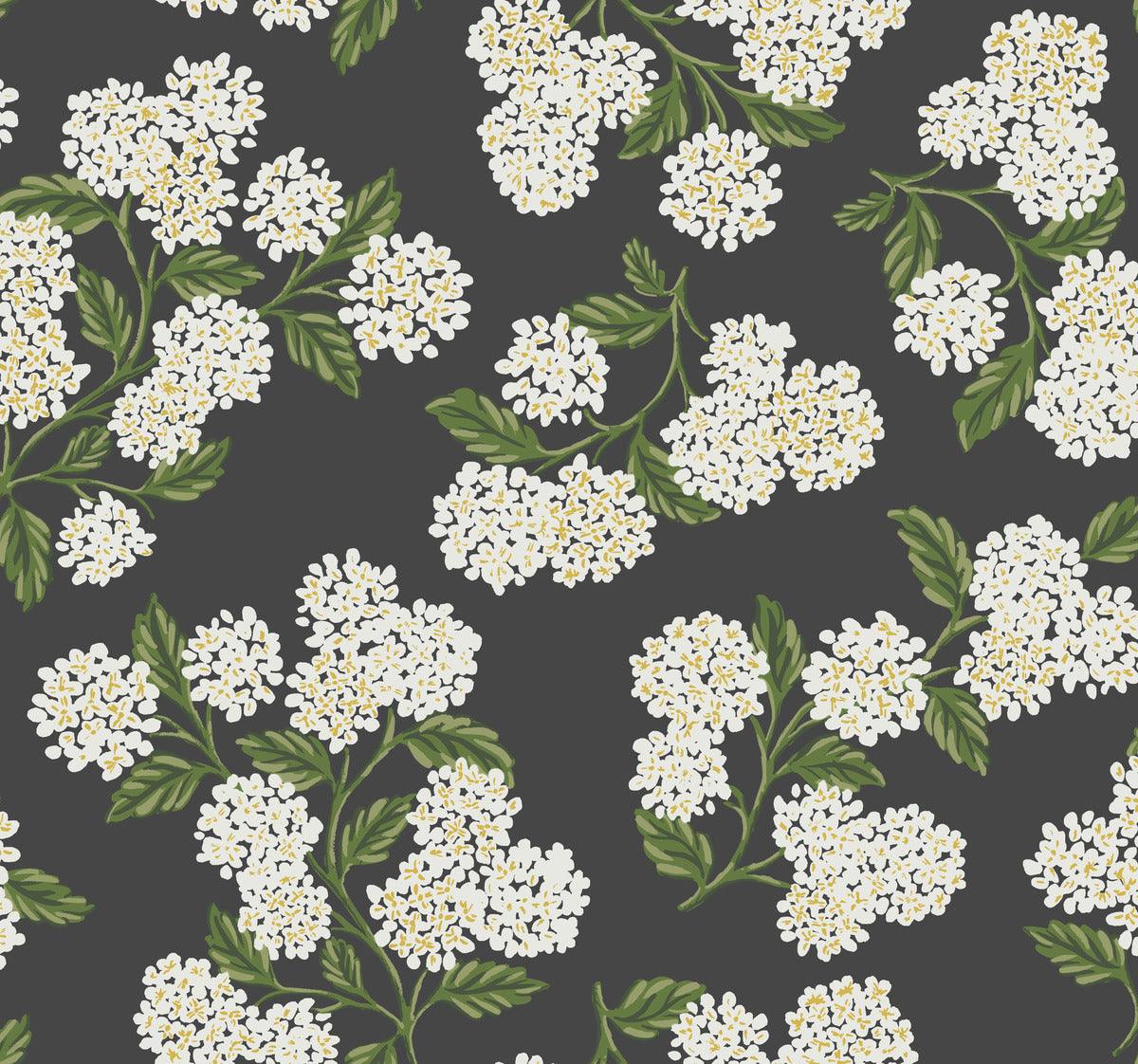 Rifle Paper Co. Hydrangea Wallpaper - Crockers Paint & Wallpaper